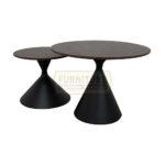 Roco Twin Coffee Table - Image 2